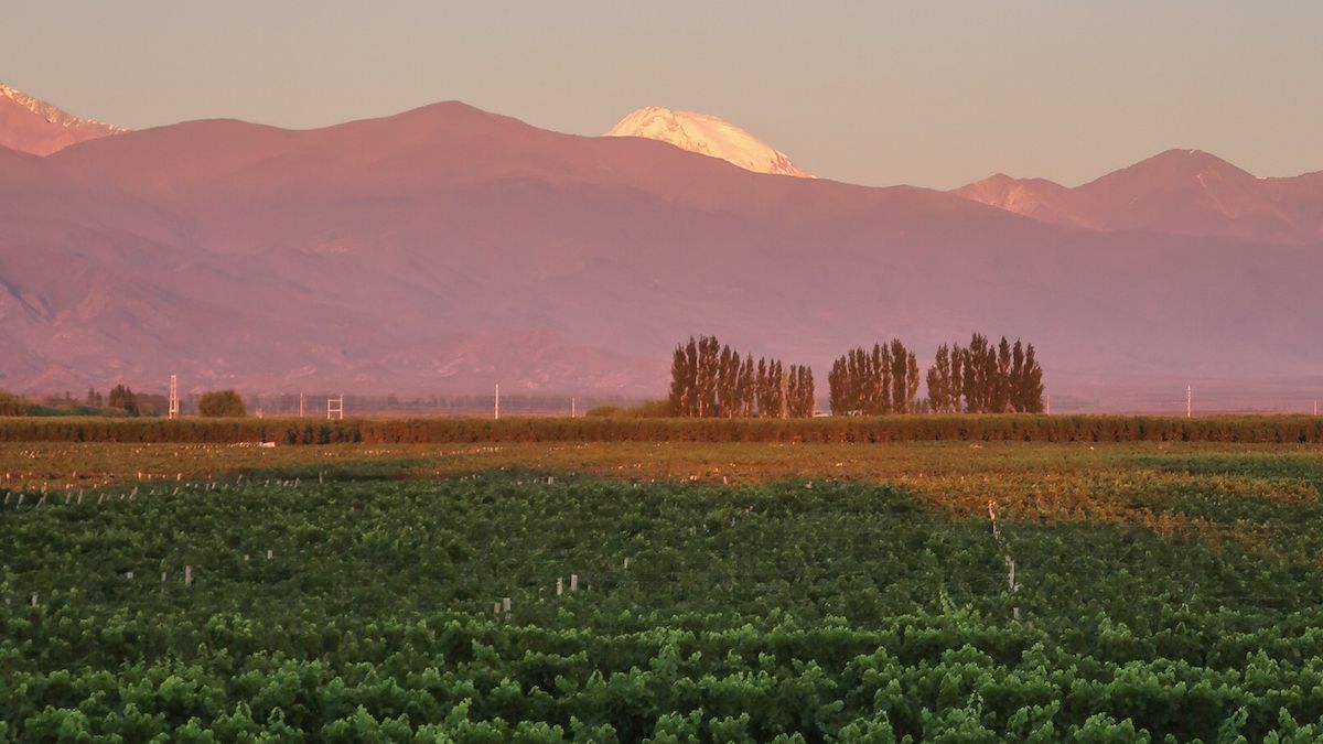 Sunrise in the Uco Valley of Mendoza, a must-stop on any 1 week Argentina itinerary and one of the country's best destinations to visit.