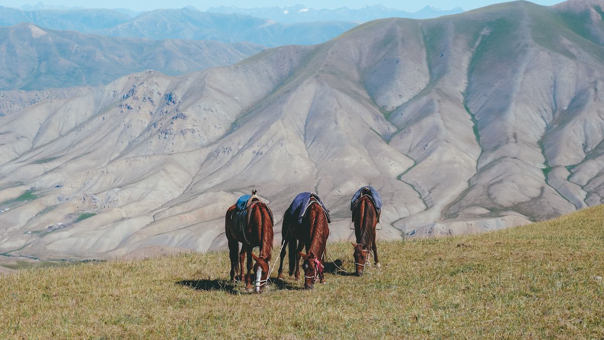 10 Things to Know Before Your Trek to Song Kol Lake, Kyrgyzstan