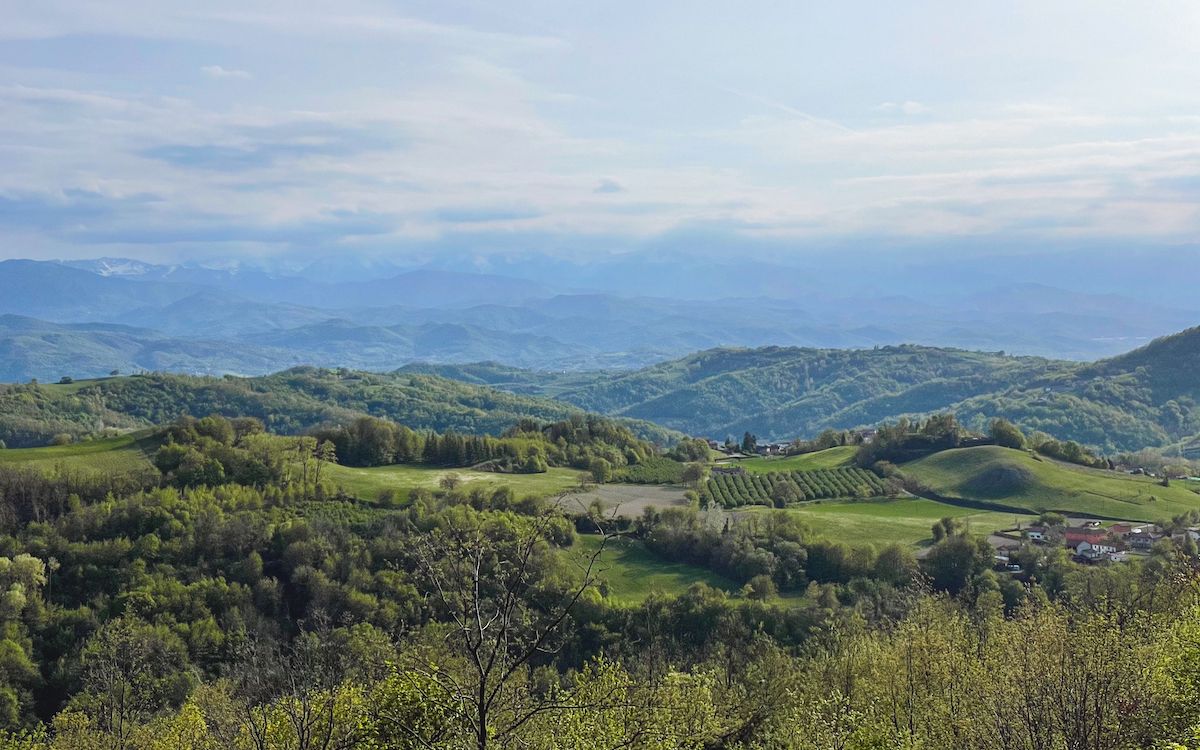3 Day Piedmont itinerary - Italy's Underrated Wine Region