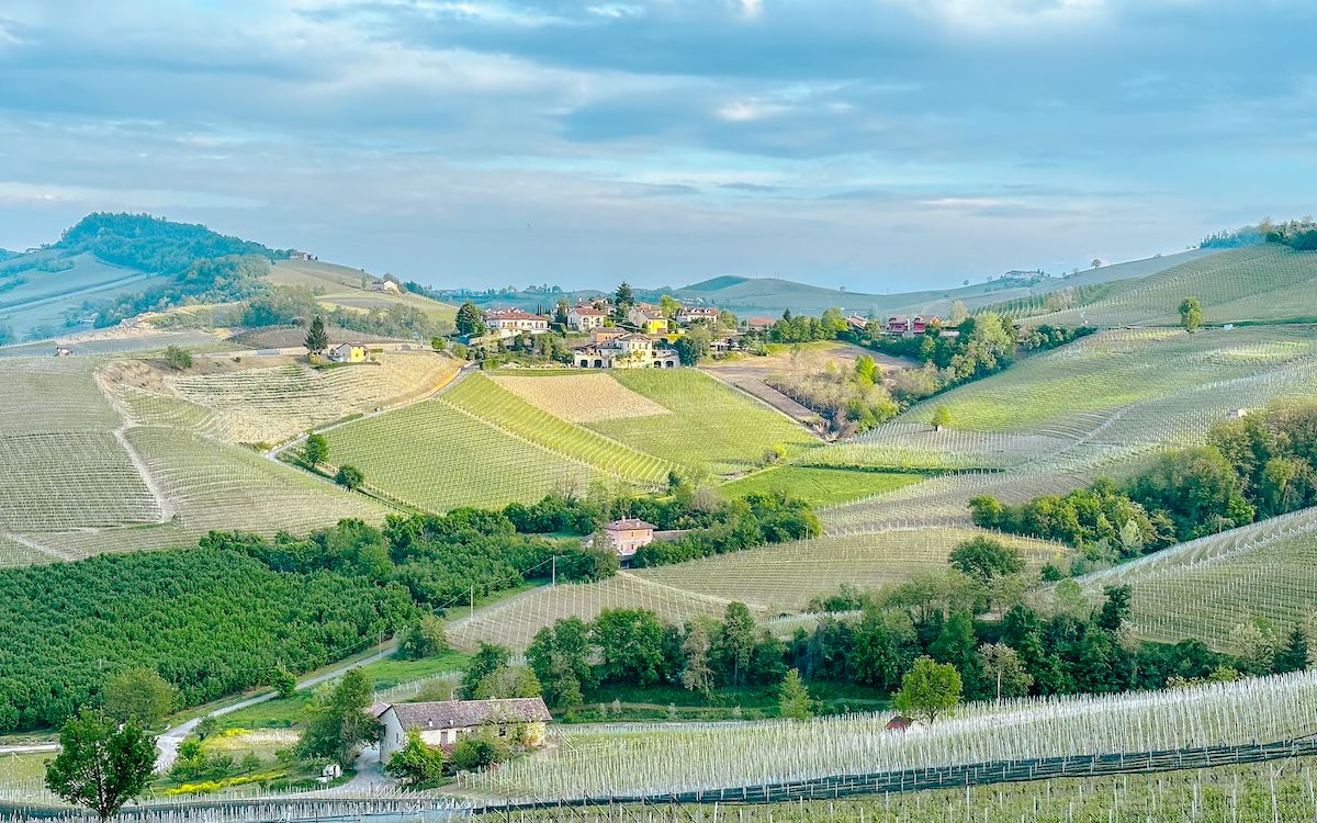 11 Things to do in Langhe, Italy for the Food & Wine Lover