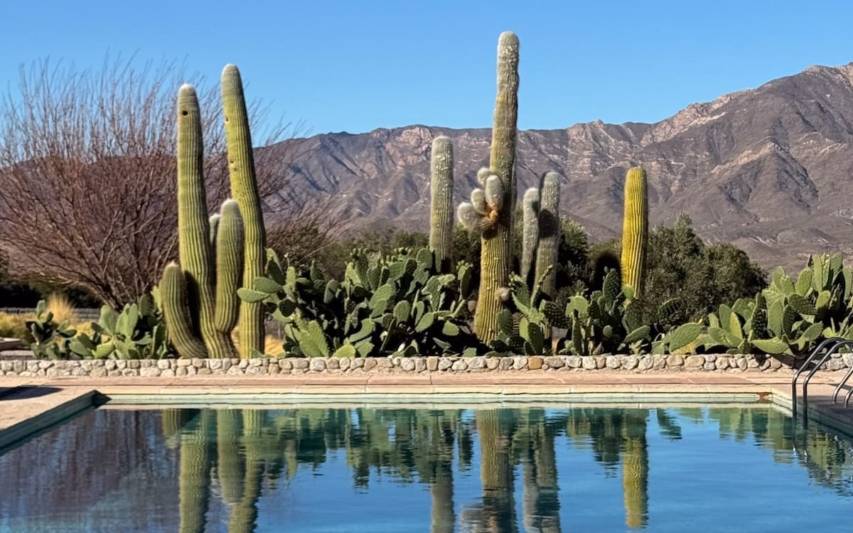 Tall cacti border a pool with rugged brown mountains in the background at Bodega Colome, a stop along the 10 Day Argentina Itinerary.