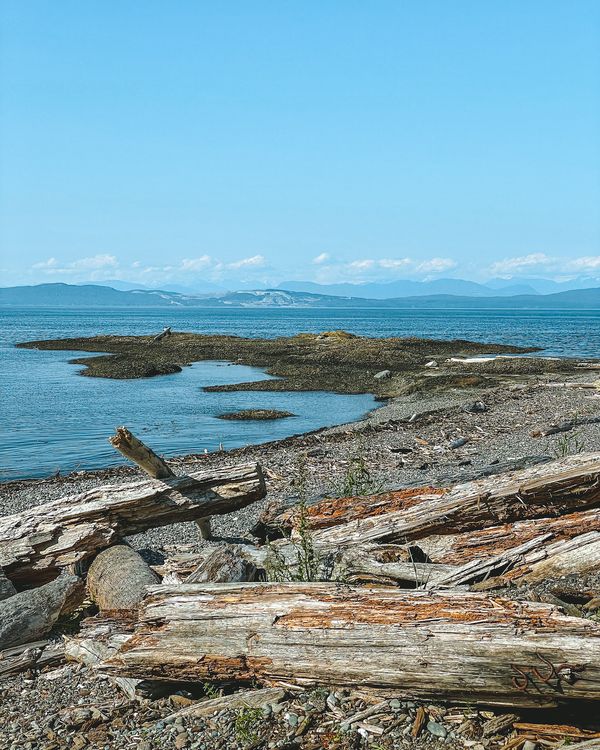 23 Best Things to do on Hornby Island BC hidden gems included