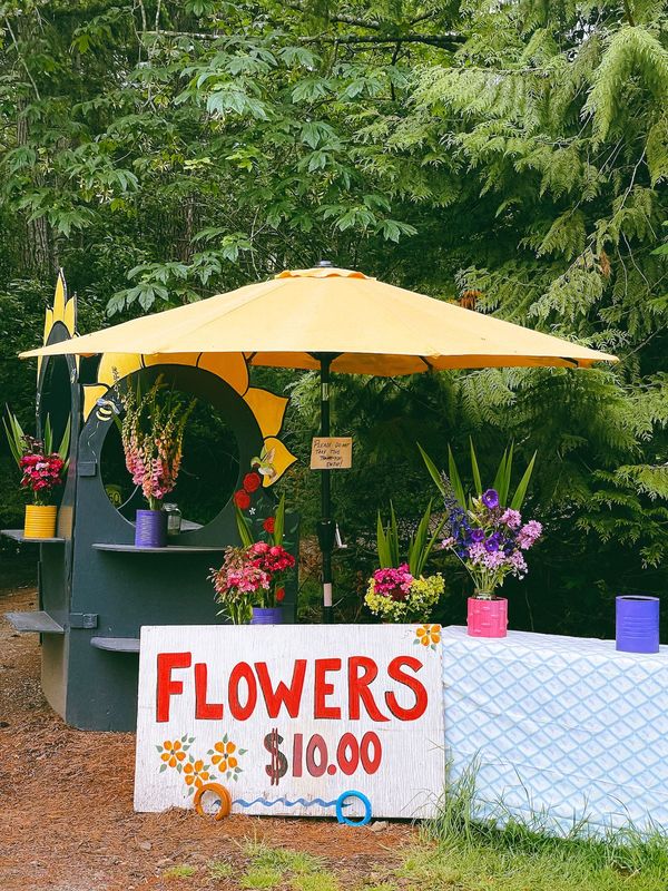 23 Best Things to do on Hornby Island BC hidden gems included