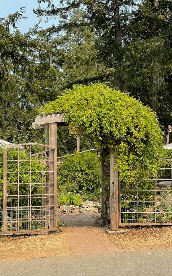 Salt Spring Island Itinerary for a Weekend Getaway